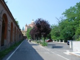 Tn DSC 0329